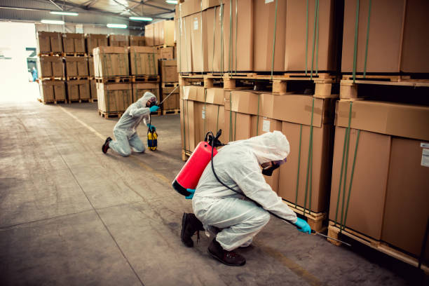 Flea Control Services in Beavercreek, OR