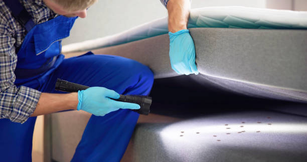 Best Bed Bug Extermination  in Beavercreek, OR