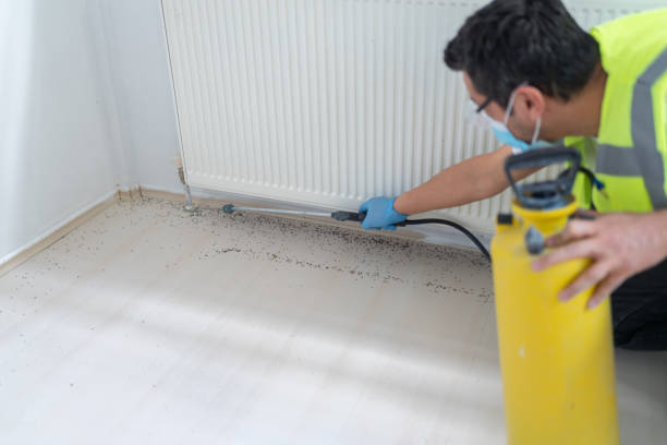 Best Affordable Pest Control Services  in Beavercreek, OR